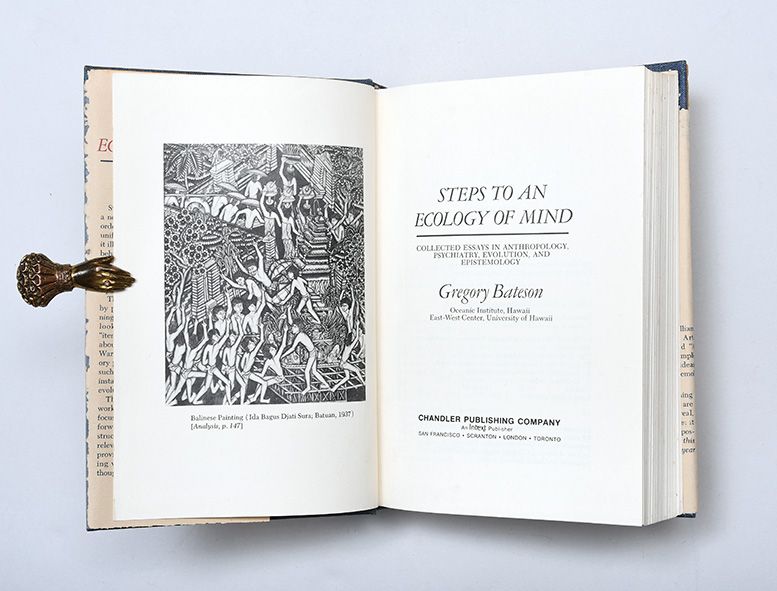 Gregory Bateson's Essay