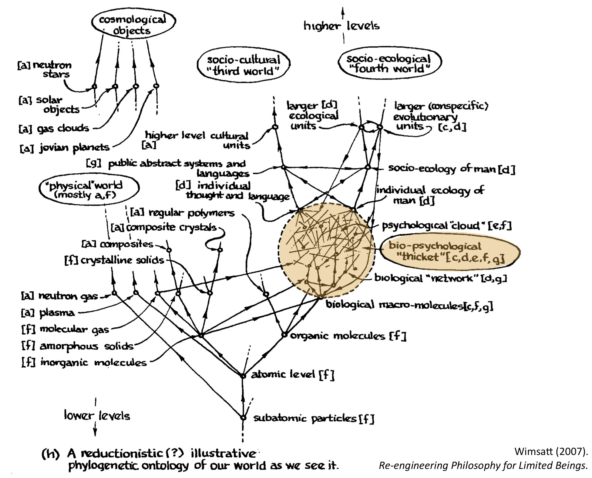 William Wimsatt's Complex Systems Paper